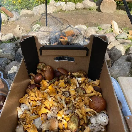 Heather Hut, Off-grid On A Pond+2 Ha Апартаменты *