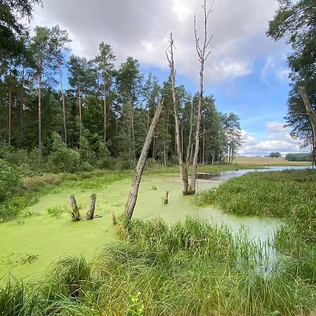 Apartmán Heather Hut, Off-grid On A Pond+2 Ha *
