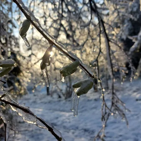 Heather Hut, Off-grid On A Pond+2 Ha Darzkowo