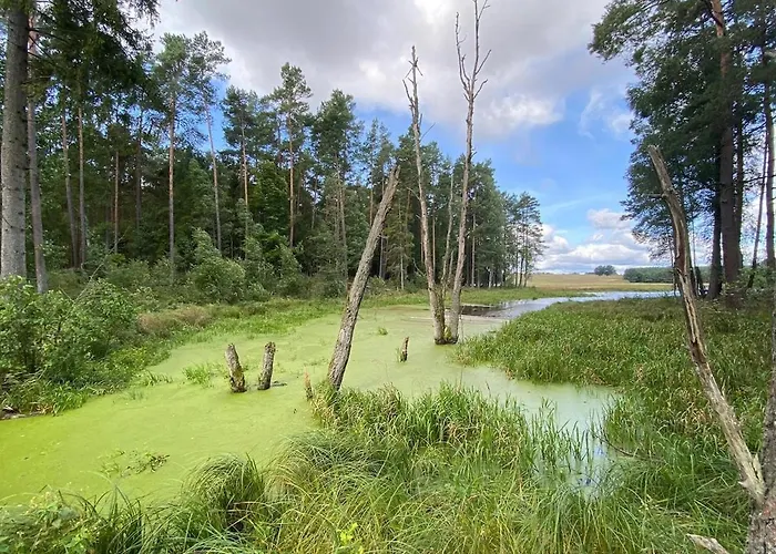 Daire Heather Hut, Off-grid On A Pond+2 Ha *