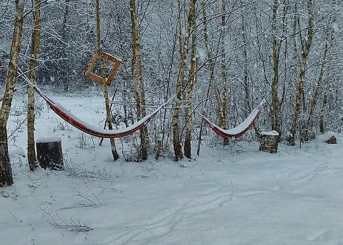 Daire Heather Hut, Off-grid On A Pond+2 Ha
